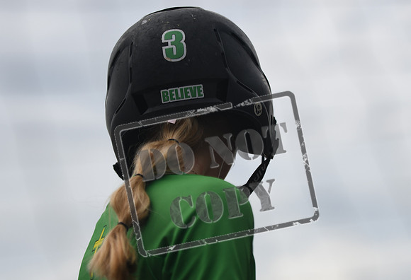 DSC_3996