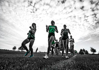 annaLursen_gaelsgirls_edited