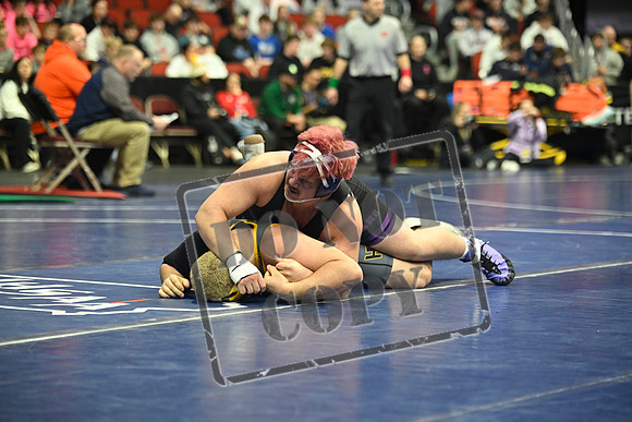 _DSC3498