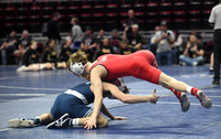 state wrestling quarterfinals