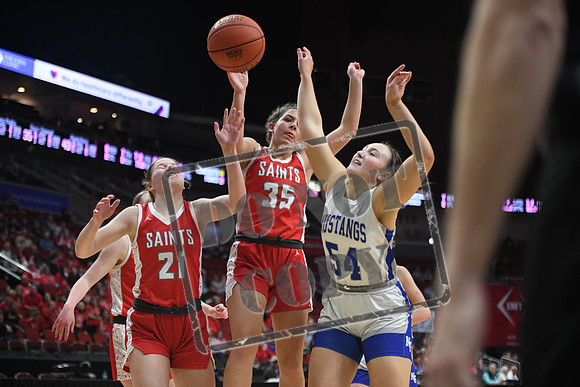DSC_3379