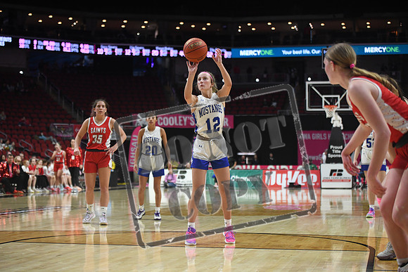 DSC_3504