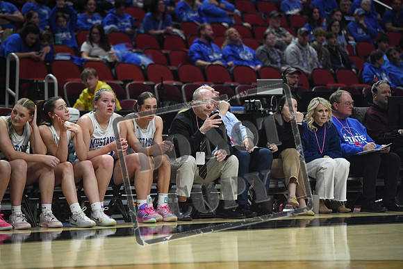 DSC_3535