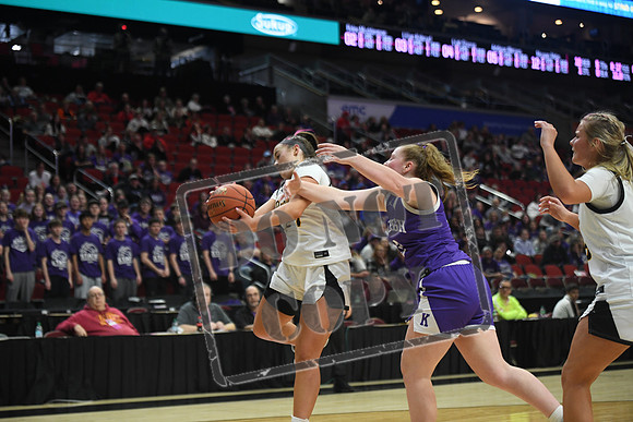 DSC_2876