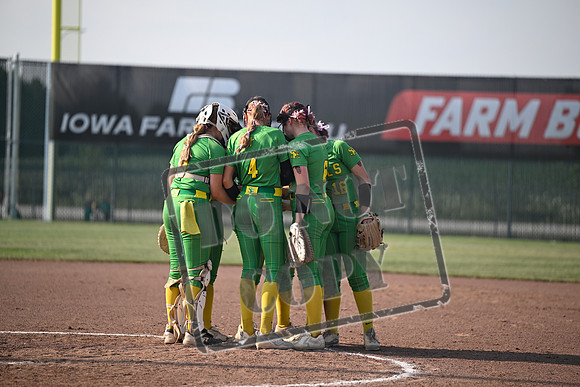 _DSC0446