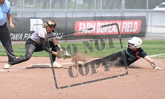 _DSC8083