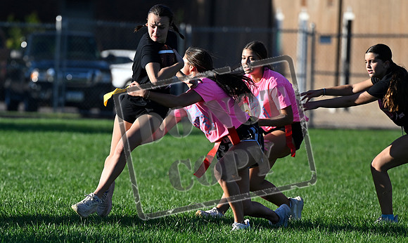 _DSC1277 (2)