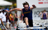 D85_6125