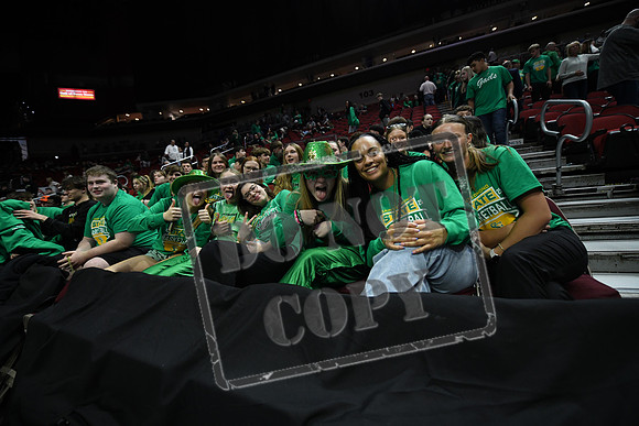 DSC_2967