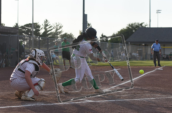 DSC_7046