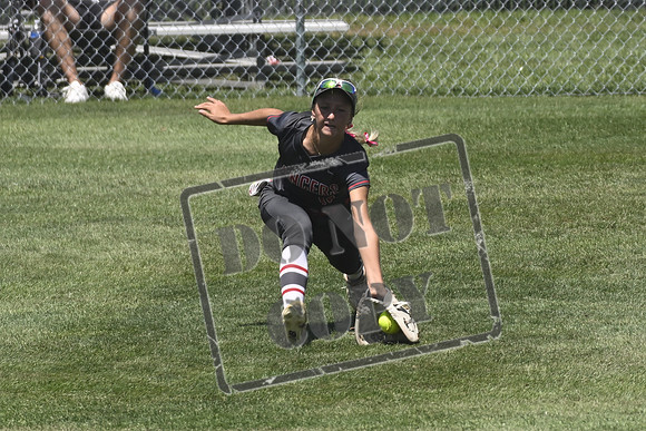 _DSC0217
